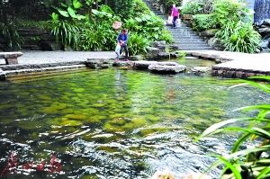 2017年廣州市兩會 水務局預算劍指水污染治理，高效著力環(huán)保技術開發(fā)服務
