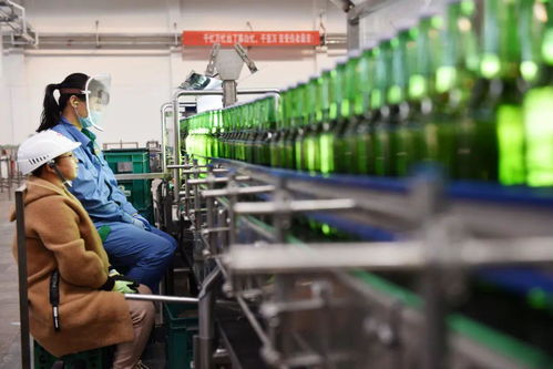 青島啤酒 苦待第二春的挑戰與機遇